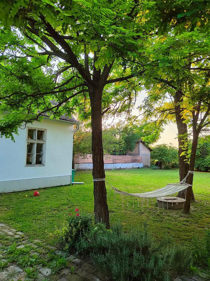 Bed and Breakfast Ethno&Coffee House Tulip Glozan Екстер'єр фото