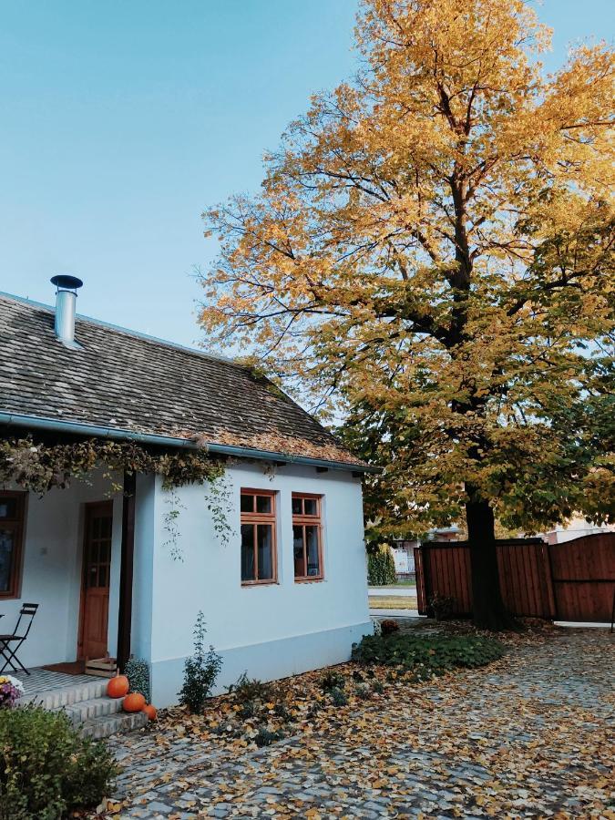 Bed and Breakfast Ethno&Coffee House Tulip Glozan Екстер'єр фото